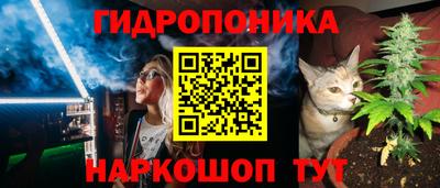 хмурый Заводоуковск