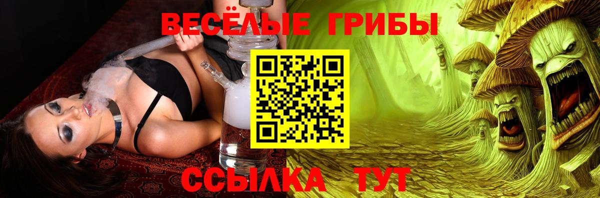 Галлюциногенные грибы GOLDEN TEACHER Новоуральск